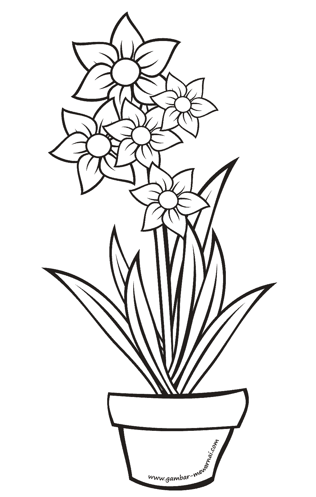 Detail Gambar Pot Bunga Dan Bunganya Nomer 7
