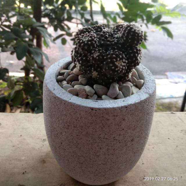 Detail Gambar Pot Bunga Dari Batu Nomer 20