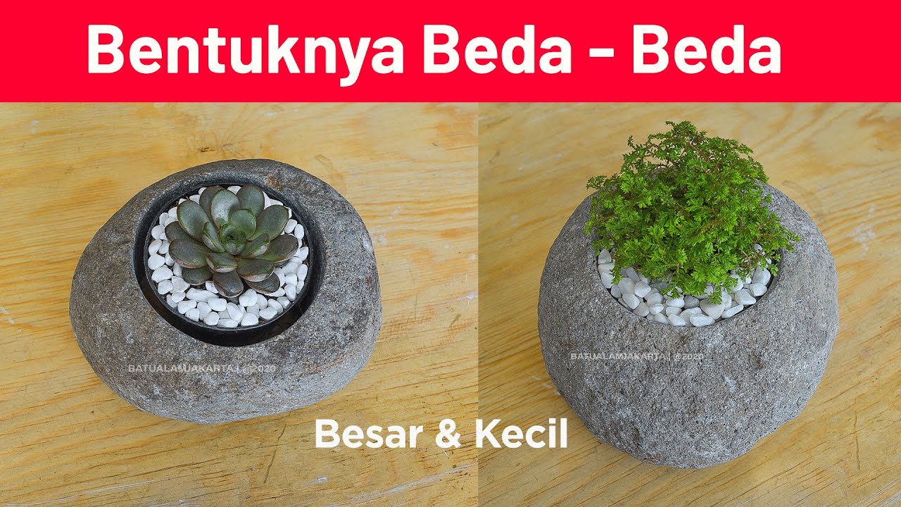 Detail Gambar Pot Bunga Dari Batu Nomer 43