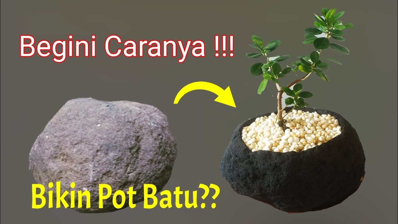 Detail Gambar Pot Bunga Dari Batu Nomer 49