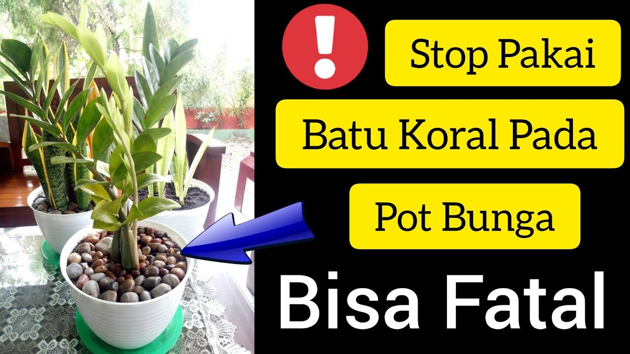 Detail Gambar Pot Bunga Dari Batu Nomer 52