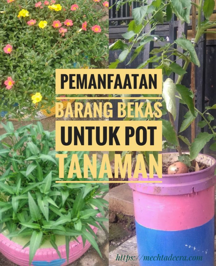 Detail Gambar Pot Bunga Dari Bekas Cat Nomer 23