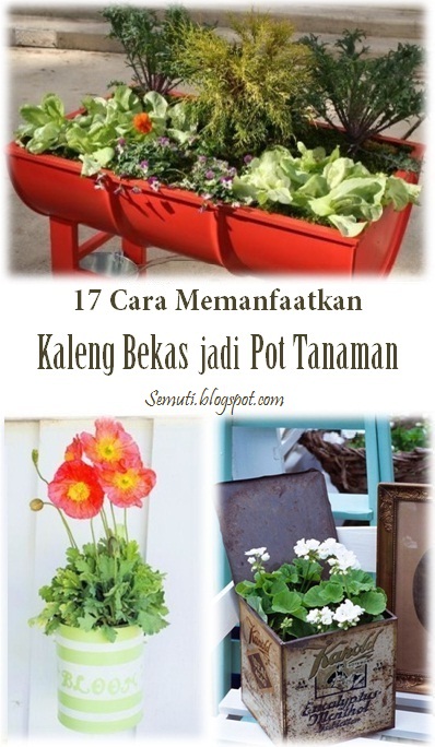 Detail Gambar Pot Bunga Dari Bekas Cat Nomer 4