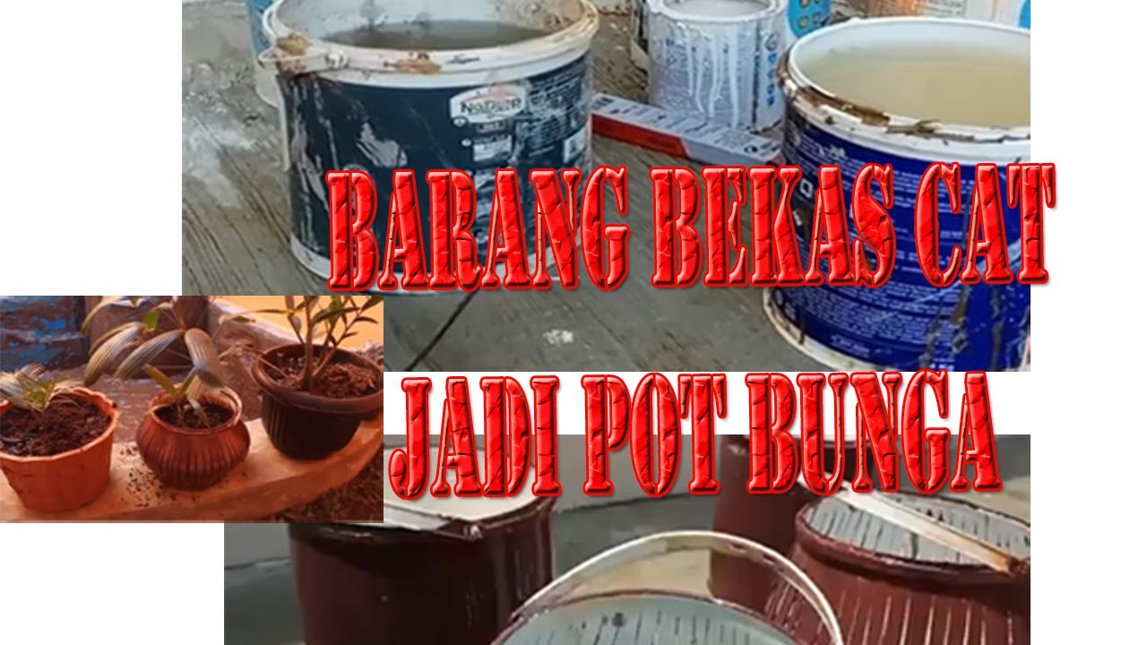 Detail Gambar Pot Bunga Dari Bekas Cat Nomer 37