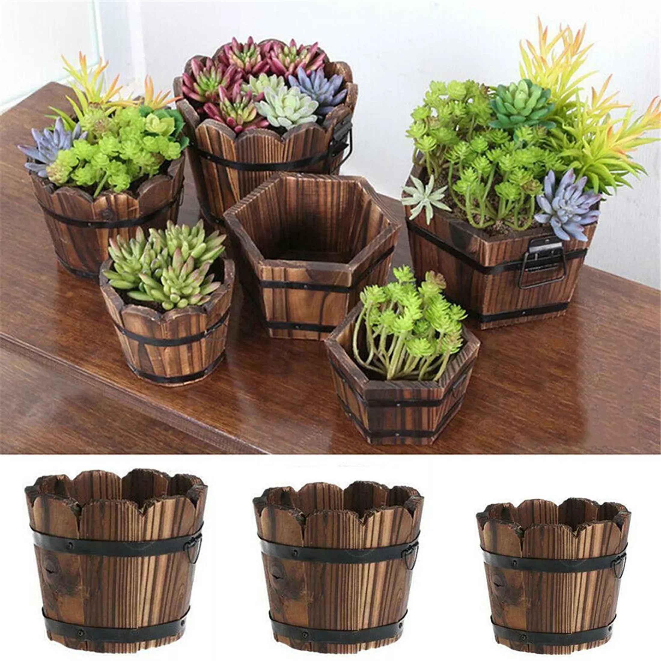 Detail Gambar Pot Bunga Dari Ember Nomer 26