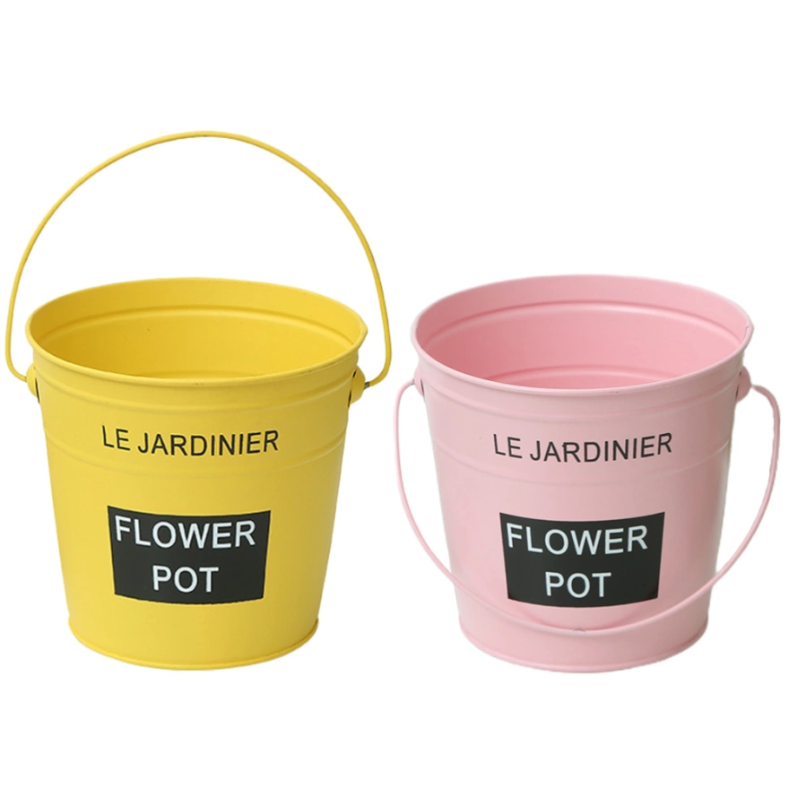 Detail Gambar Pot Bunga Dari Ember Nomer 27