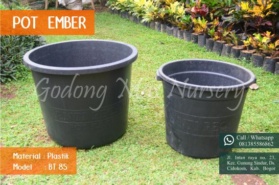 Detail Gambar Pot Bunga Ember Nomer 2