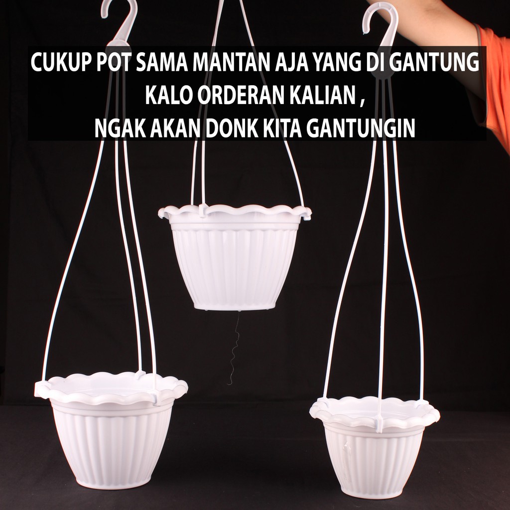 Detail Gambar Pot Bunga Gantung Nomer 18