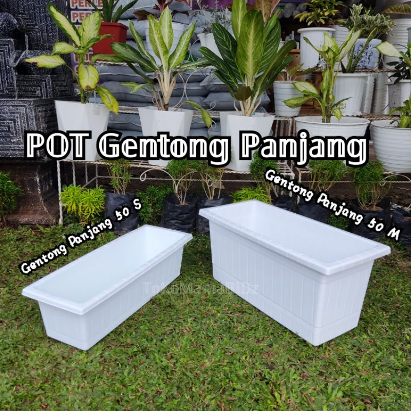 Detail Gambar Pot Bunga Panjang Nomer 51