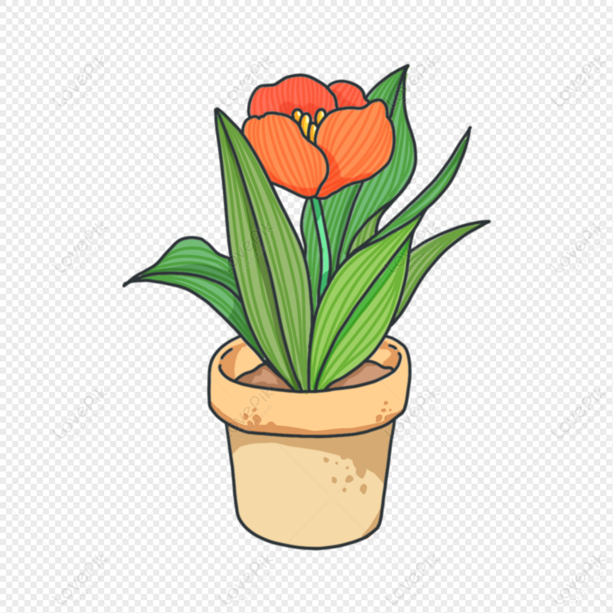 Detail Gambar Pot Bunga Png Nomer 40