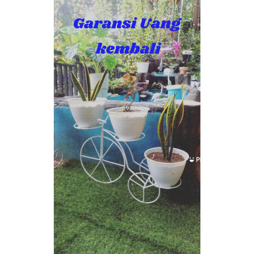 Detail Gambar Pot Bunga Sepeda Nomer 36