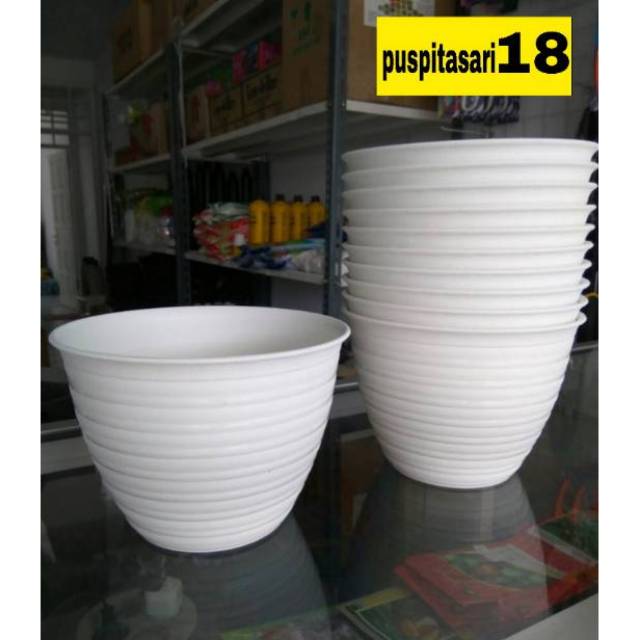 Detail Gambar Pot Bunga Tawon Putih Nomer 31