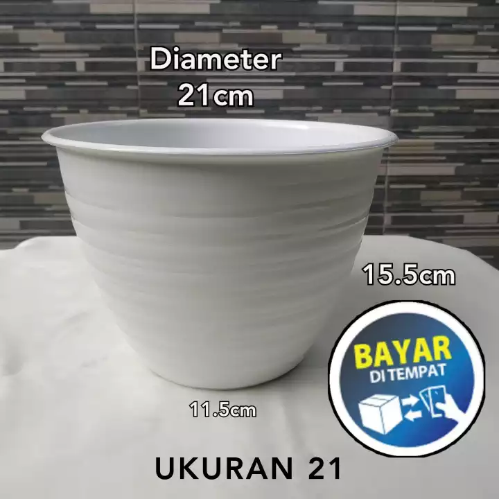 Detail Gambar Pot Bunga Tawon Putih Nomer 53