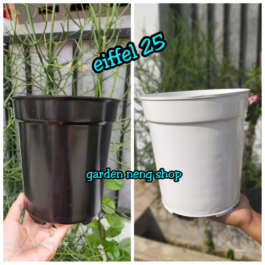 Detail Gambar Pot Bunga Tinggi Nomer 57