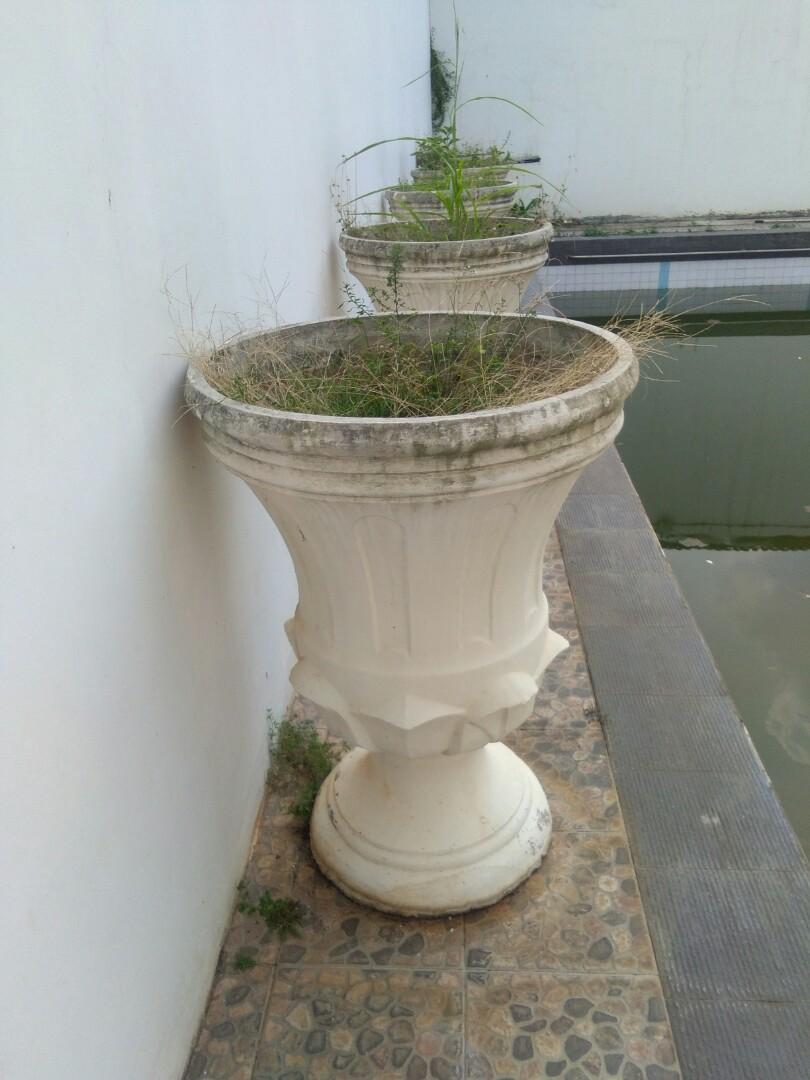 Detail Gambar Pot Bunga Tinggi Nomer 9