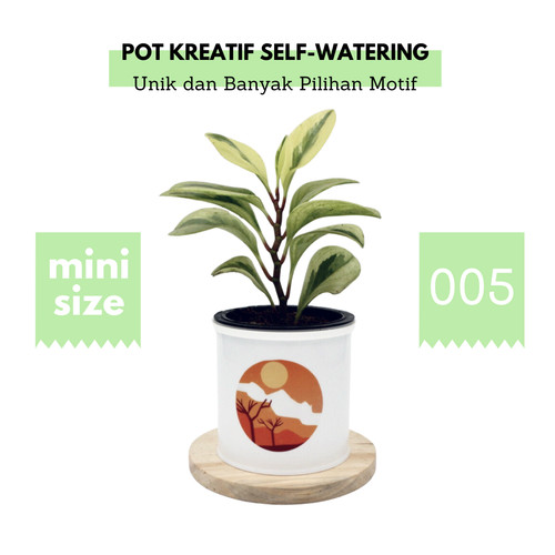 Detail Gambar Pot Bunga Unik Nomer 48