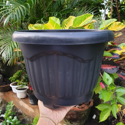 Detail Gambar Pot Bunga Yang Bagus Nomer 57