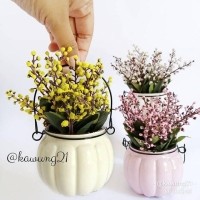 Detail Gambar Pot Bunga Yang Cantik Nomer 22