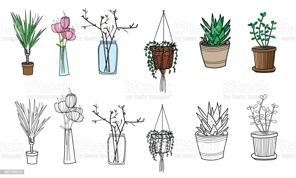 Detail Gambar Pot Bunga Yang Mudah Digambar Nomer 11
