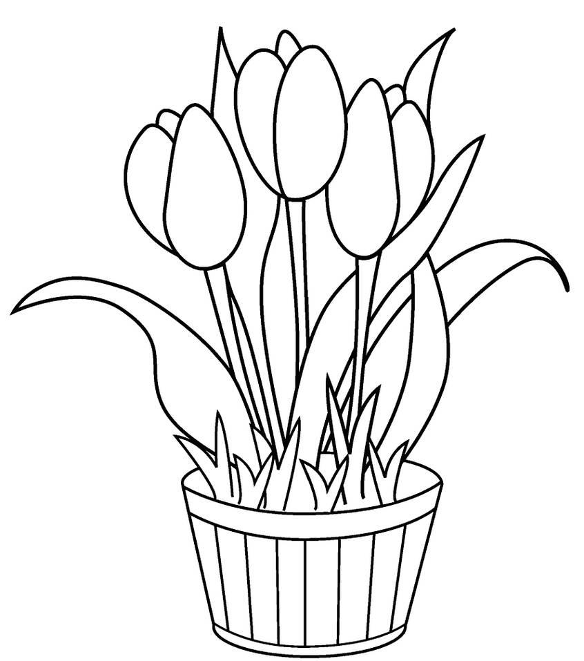 Detail Gambar Pot Bunga Yang Mudah Digambar Nomer 10