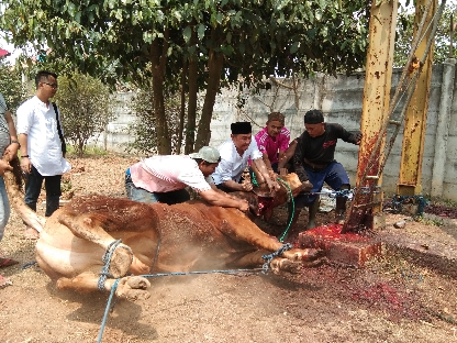 Detail Gambar Potong Sapi Nomer 18