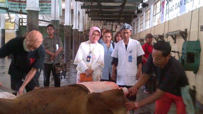 Detail Gambar Potong Sapi Nomer 48