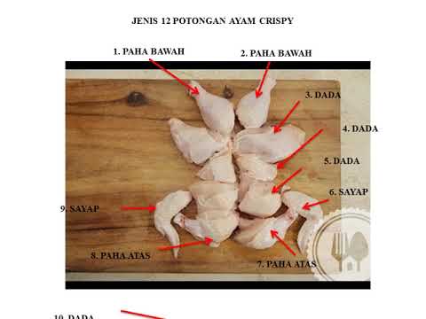 Detail Gambar Potongan Ayam Nomer 50