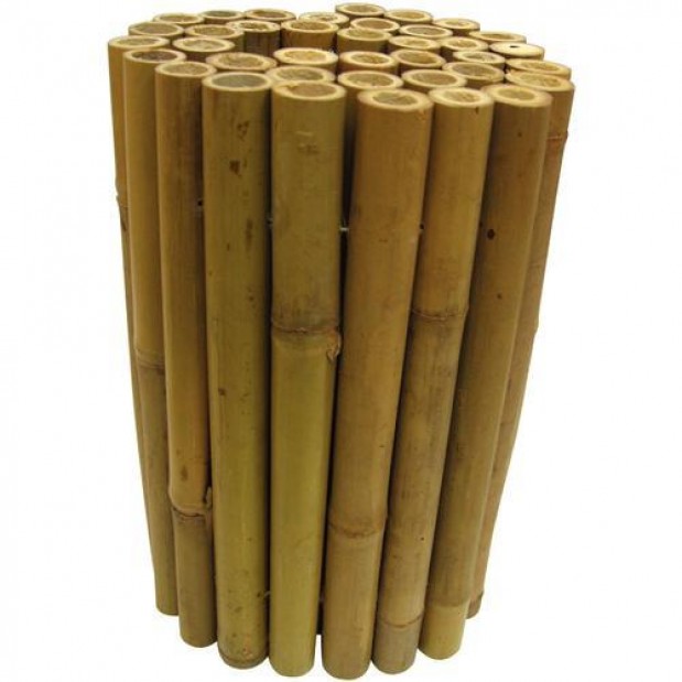 Gambar Potongan Bambu - KibrisPDR