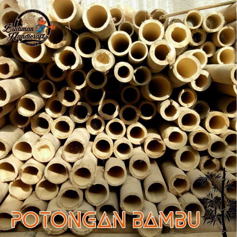 Detail Gambar Potongan Bambu Nomer 46