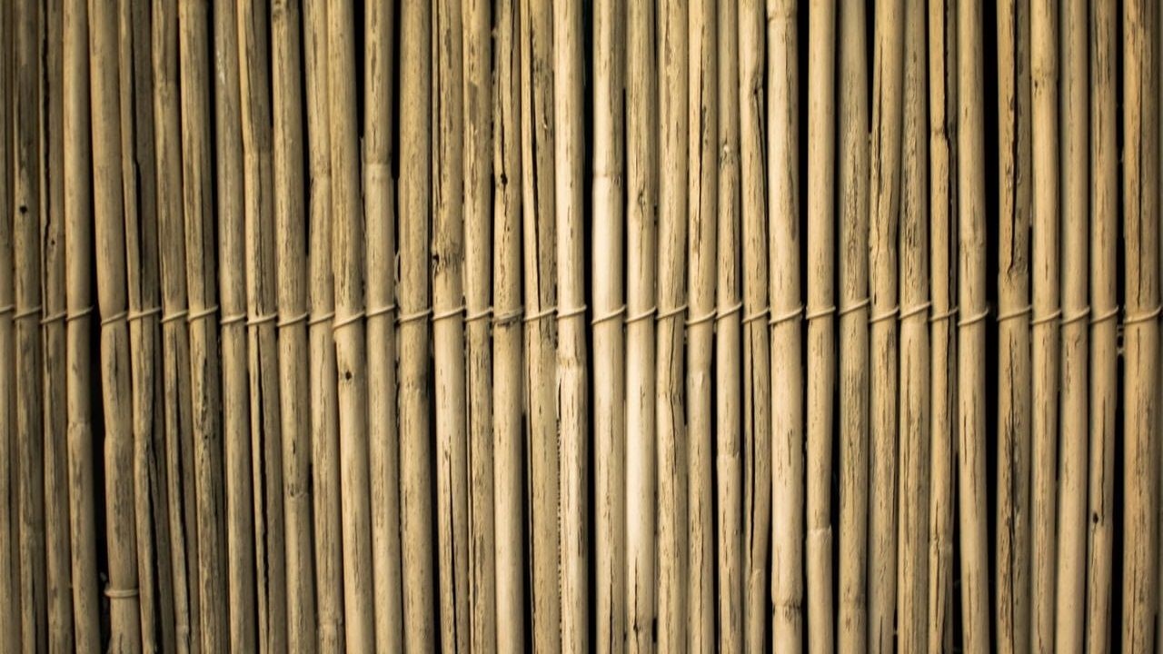 Detail Gambar Potongan Bambu Bulat Nomer 46