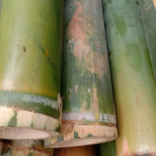 Detail Gambar Potongan Bambu Bulat Nomer 8