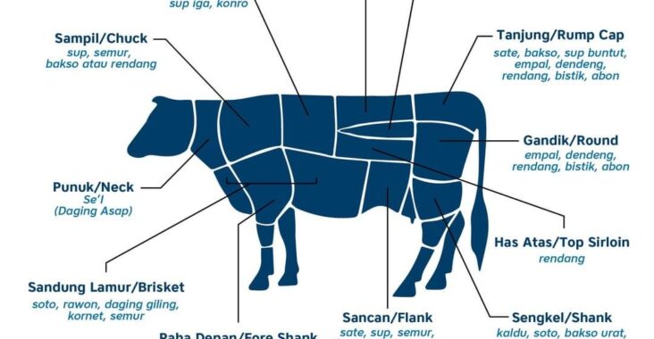 Detail Gambar Potongan Daging Sapi Nomer 14