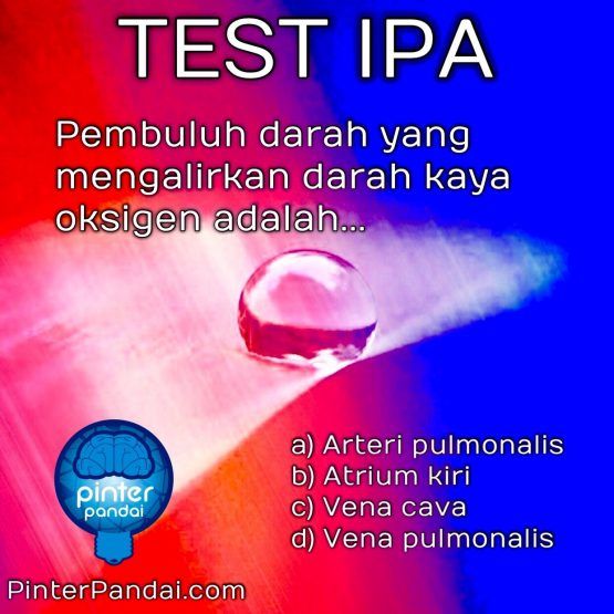 Detail Gambar Power Point Teori Terjadinya Bangsa Dariratzel Nomer 25