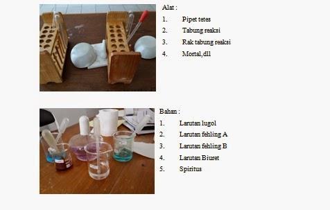 Detail Gambar Praktek Uji Makanan Nomer 39