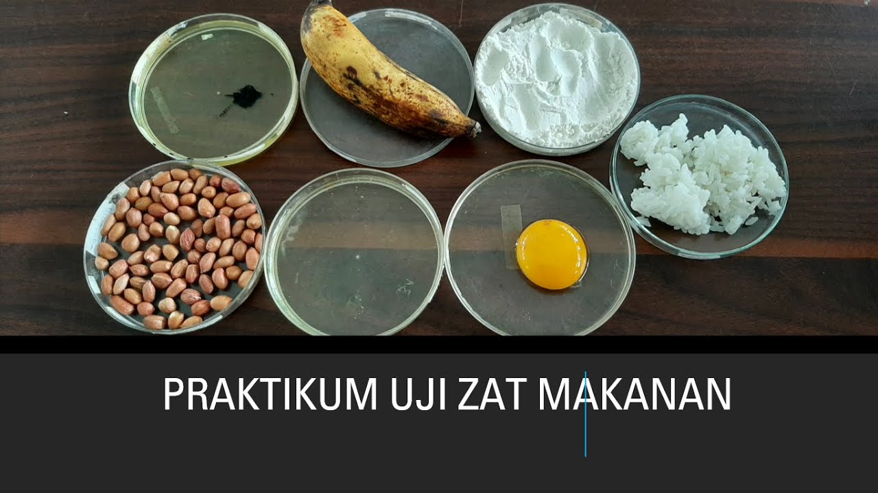 Detail Gambar Praktek Uji Makanan Nomer 8