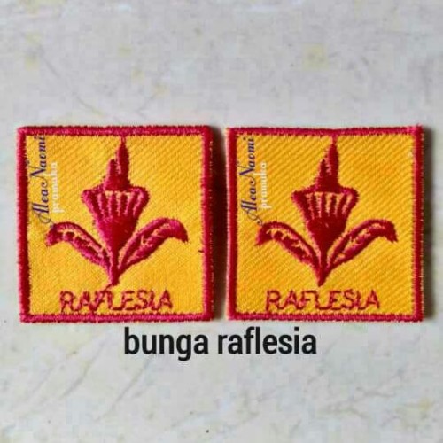 Gambar Pramuka Bunga Raflesia - KibrisPDR