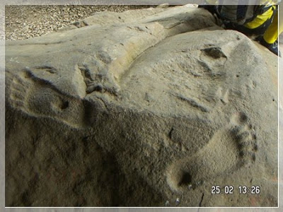 Detail Gambar Prasasti Muara Cianten Nomer 50