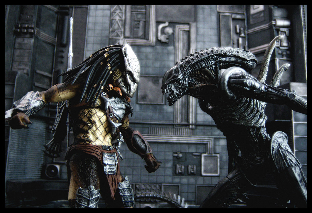 Detail Gambar Predator Vs Alien Nomer 15