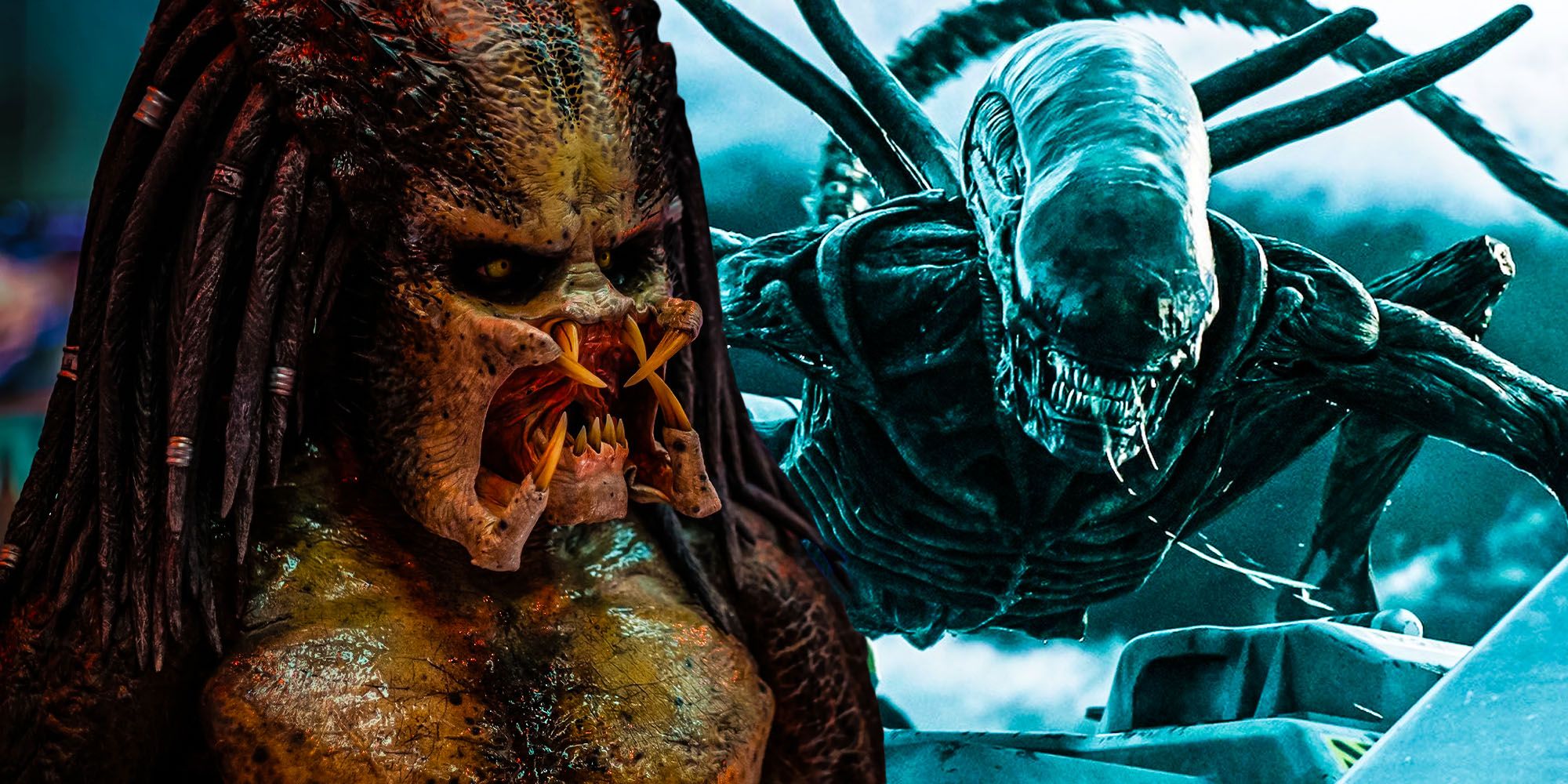 Detail Gambar Predator Vs Alien Nomer 18