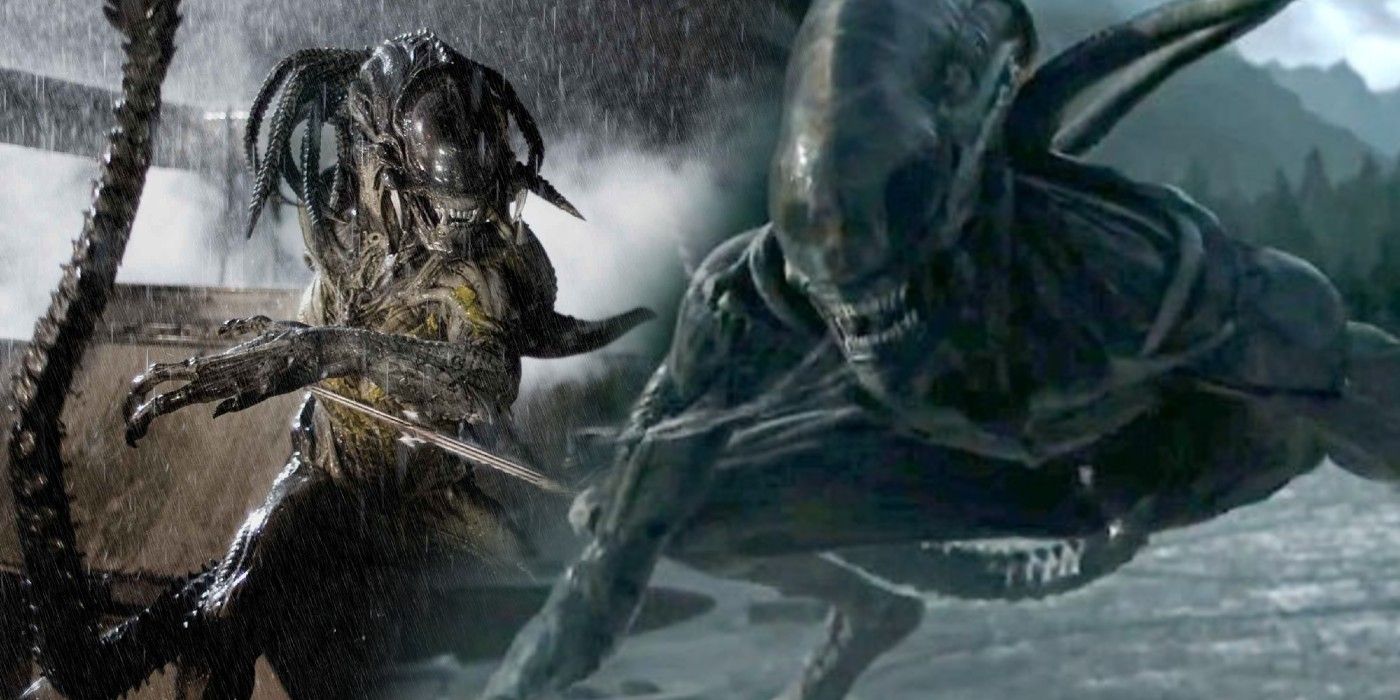 Detail Gambar Predator Vs Alien Nomer 57