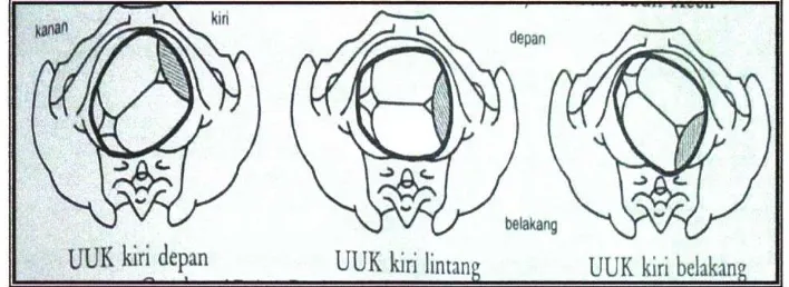 Detail Gambar Presentasi Puncak Kepala Nomer 15