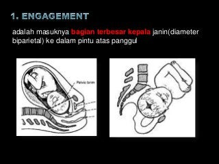 Detail Gambar Presentasi Puncak Kepala Nomer 31