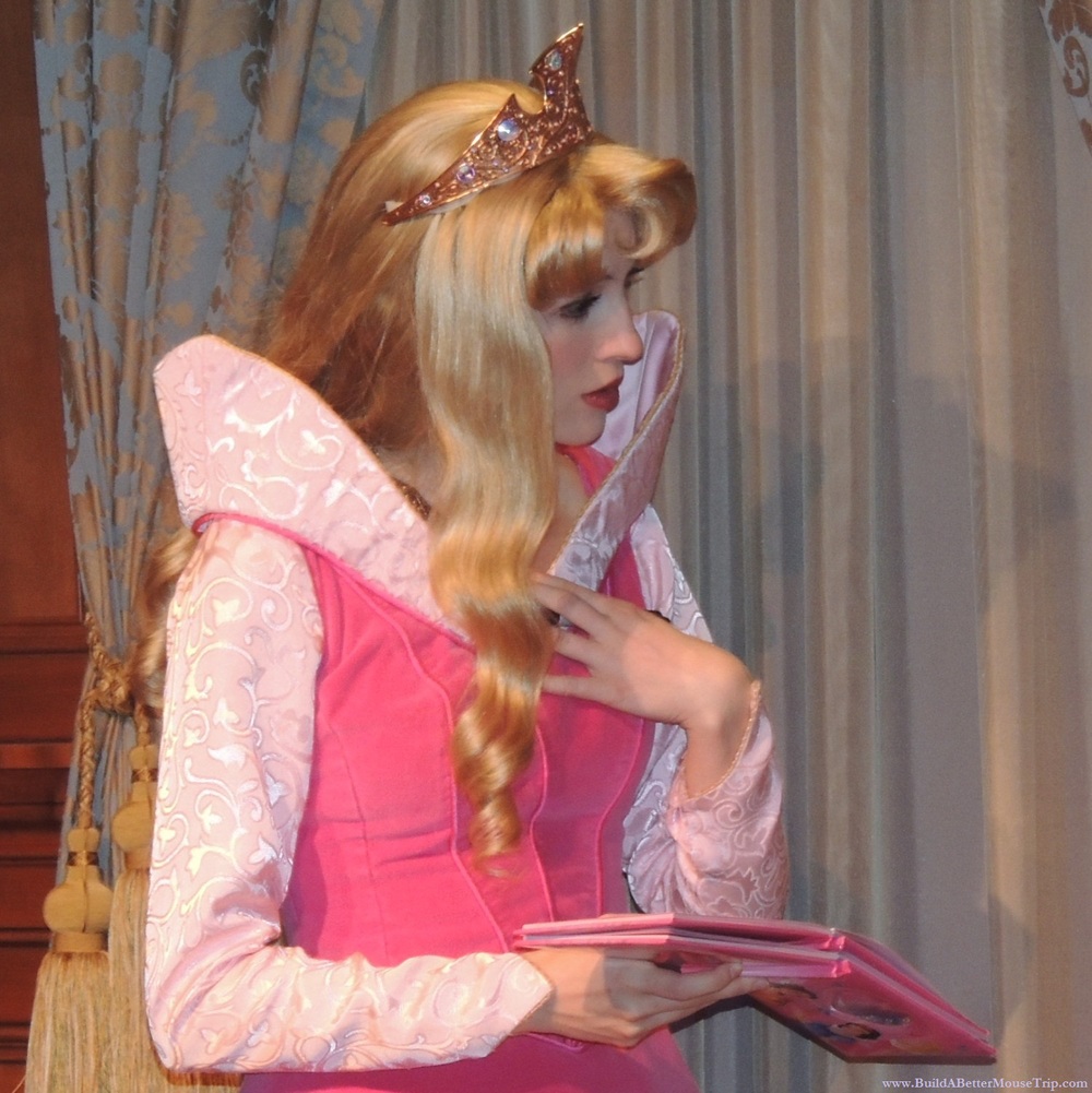 Detail Gambar Princess Aurora Nomer 15