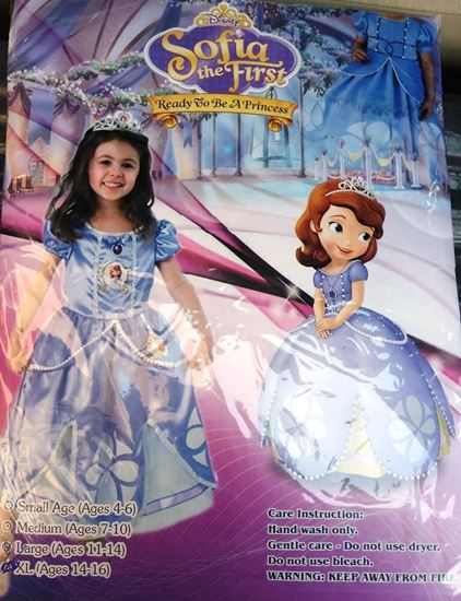 Detail Gambar Princess Sophia High Size File Nomer 51