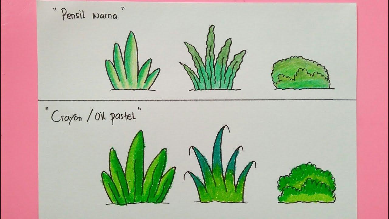 Detail Gambar Produsen Tumbuhan Sketsa Nomer 3