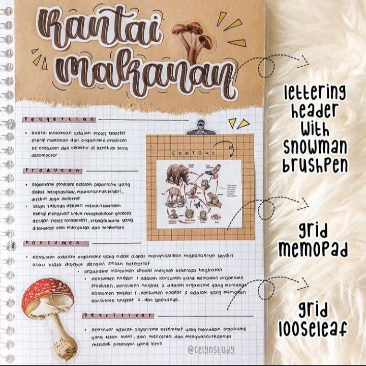 Detail Gambar Produsen Tumbuhan Sketsa Nomer 23
