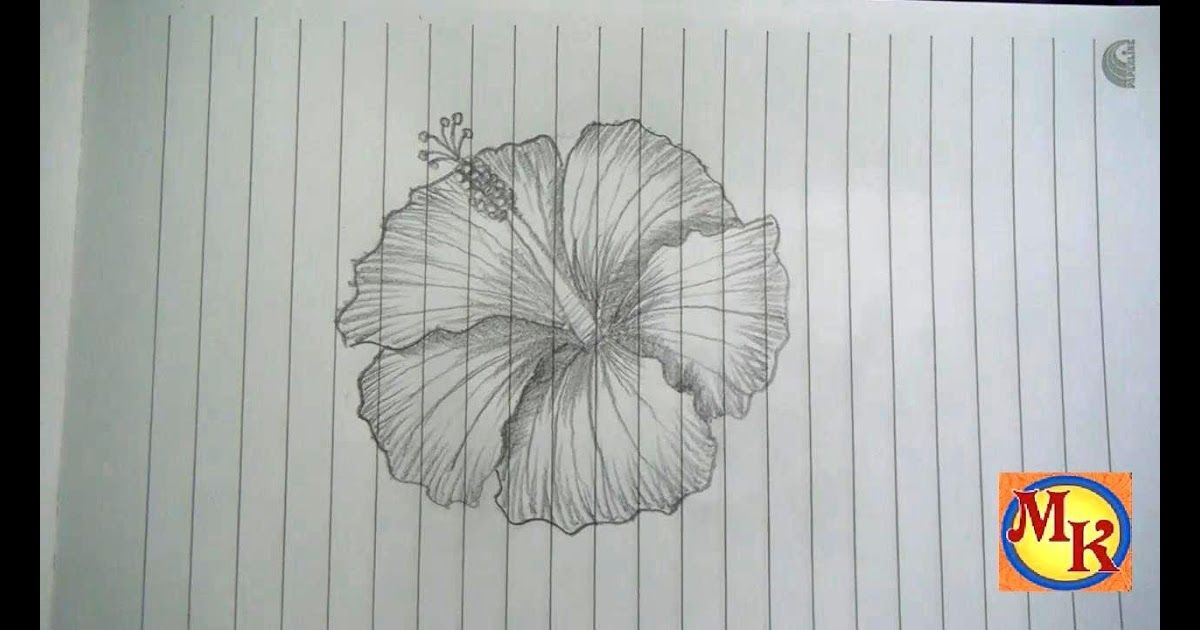 Detail Gambar Produsen Tumbuhan Sketsa Nomer 4