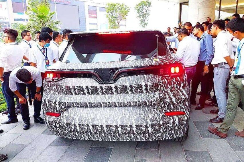 Detail Gambar Produsen Tumbuhan Sketsa Nomer 26