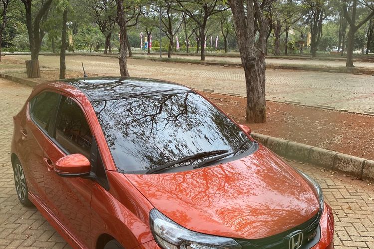 Detail Gambar Produsen Tumbuhan Sketsa Nomer 27
