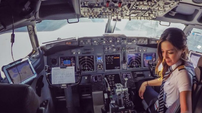 Detail Gambar Profesi Gambar Profesi Pilot Perempuan Nomer 26